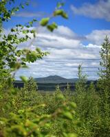 Scenic landscape with the small mountain Vithatten in northern Sweden photo