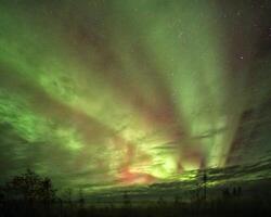 Aurora borealis in red and green with clouds and misty forest silhouette photo