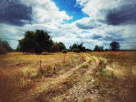 Grungy shot of small country road leading through dry grasslands photo