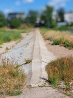 Levee in Magdeburg, Germany during an intense drought photo