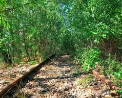 Overgrown railway track in dense vegetation in Germany photo