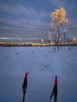 Brightly illuminated trees and mountains with ski poles in foreground photo