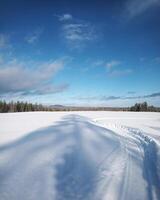 Snow plain with tree shadow in northern Sweden photo