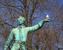 Historic statue of King Charles XII from 1868 in Stockholm, with a herring gull photo