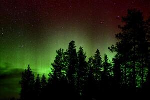Green and red aurora borealis and clouds behind tree silhouettes photo