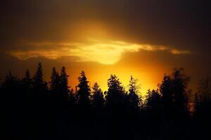 Illuminated cloud over a golden forest silhouette photo