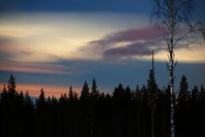 Various clouds on evening sky over forest silhouette photo
