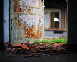Small green plants growing from debris in a ruined building photo