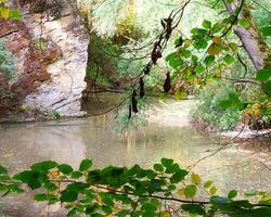 Nature reclaiming an abandoned quarry in Germany photo