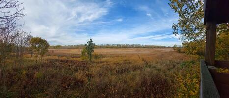 View over dry grasslands in central Germany photo