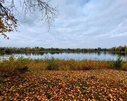 Autumnal scene with leaf-covered lawn at a lake photo
