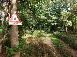 Warning sign at the entrance of a German forest, saying Zecken - Ticks photo
