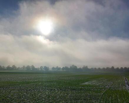 Misty field with sunlight in central Germany photo