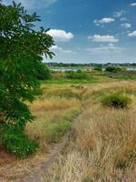 sendero dentro pastizales por el Elba río foto