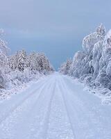 Bright snowy road and dark cloudy sky in northern Swedish winter photo