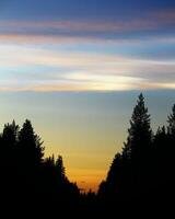 Polar stratospheric clouds PSCs on evening sky photo