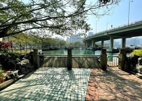 Trees and garden floor in Hong Kong outdoor purblic park with buildings and bridge photo