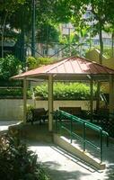 Small pavilion, grass, tree in Hong Kong outdoor purblic park photo