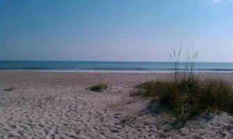 A beach with a sand dune and a surfboard photo