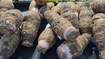 A pile of taro in a supermarket photo