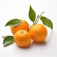 Isolated branch of tangerine with fruit and leaves on the white photo