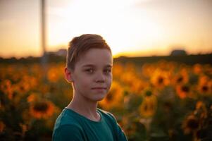 Portrait of beautiful blond kid boy on summer sunflower field photo