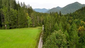 Aerial view of male cyclist riding gravel bike in September in Bavaria, Germany in forest. Drone view of bicyclist from behind riding along gravel bike route in Bavarian forest in the mountains. video