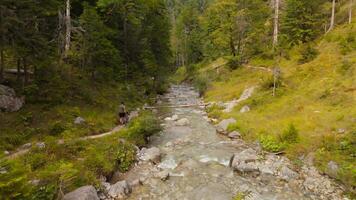 Man cyclist crossing mountain river on makeshift wooden bridge carrying bicycle on his shoulder view from above in Germany, Bavaria. Bicyclist traverses mountainous rocky river over wooden ditch. video