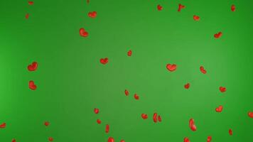Happy valentine day congratulation with pink 3d heart rain shapes flying with green background chroma key video