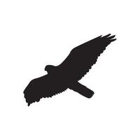 Silhouette of a large bird of prey, likely a hawk or falcon, gliding through the air with wings fully extended vector