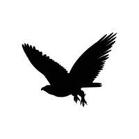 Silhouette of a bird of prey, likely an eagle or hawk, in mid-flight with wings spread wide and talons extended vector