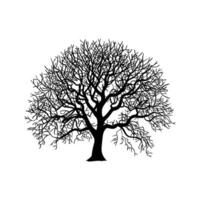 Winter Tree Silhouette Minimal Design for Botanical and Decorative Concepts vector