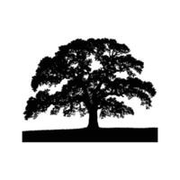 Tree Silhouette Illustration Simple Black Art Featuring Elegant Branches vector