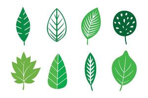 Green leaf icons set vector