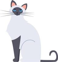Birman cat with striking blue eyes and a black nose sitting and staring intently, isolated against a clean white background, featuring a simple and elegant flat illustration vector