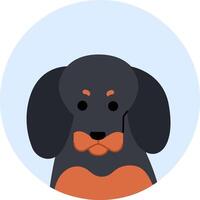 Minimalist illustration of a dachshund dog, presenting a frontal view of its head and upper body, set against a light blue circular backdrop vector