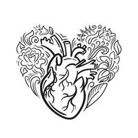 A lifelike anatomical heart surrounded by delicate blossoms, representing the connection between life and love, for artistic endeavors and romantic concepts, adding a touch of elegance to any project. vector