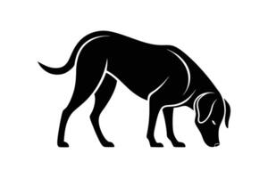 silhouette of a Labrador Retriever sniffing the ground attentively. vector