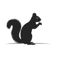 Squirrel silhouette on white background vector