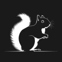Squirrel silhouette on black background illustration vector
