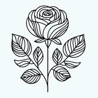 A rose is drawn in a line drawing vector