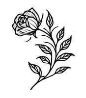 A black and white drawing of a rose with leaves vector
