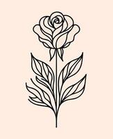 A rose is drawn in a line on a beige background vector