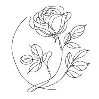 A drawing of a rose with leaves vector