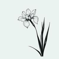 Wreath of Flowers, wild flowers Simple Line Art, Set of Decorative Elements of Plants vector