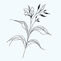 A drawing of a flower with leaves, Line Art of Flowers vector