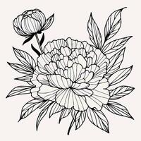 ASimple Line Art of contour piony, poppy, anemon, ranunculus flower, line art, flowers buds, leaves, black and white illustration, decorative elements of plants in engraving style vector
