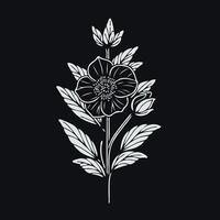 An illustration of a flower on a black background vector