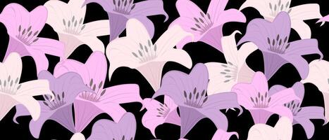 Lily flowers on a black background, seamless background. vector