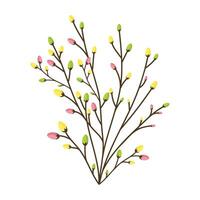 spring branch with swollen buds isolated on white background flat vector